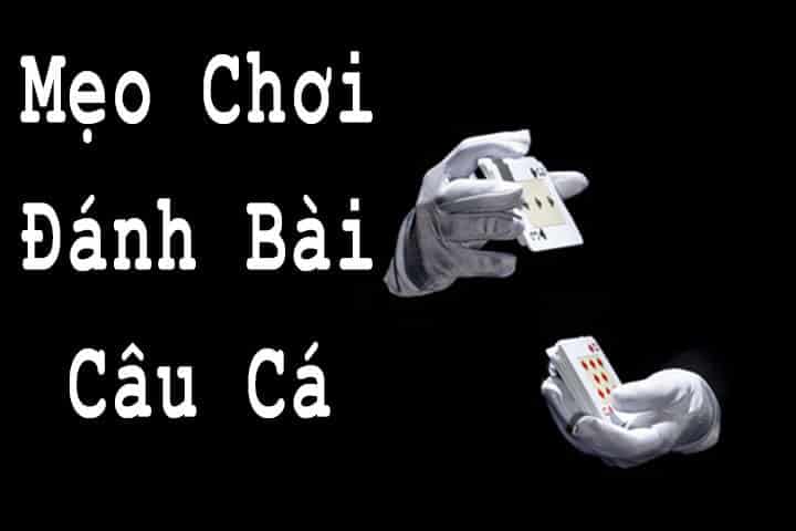 Mẹo chơi đánh bài câu cá