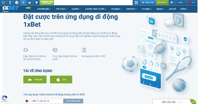 Ứng dụng 1xBet